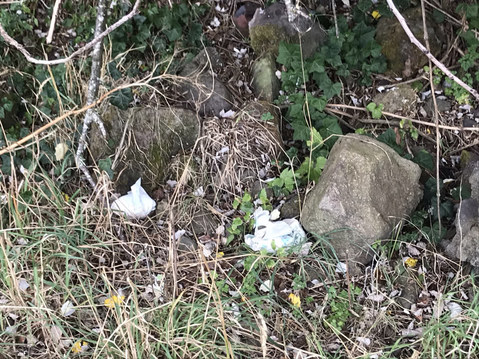 The photograph attached to this rubbish/recycling report