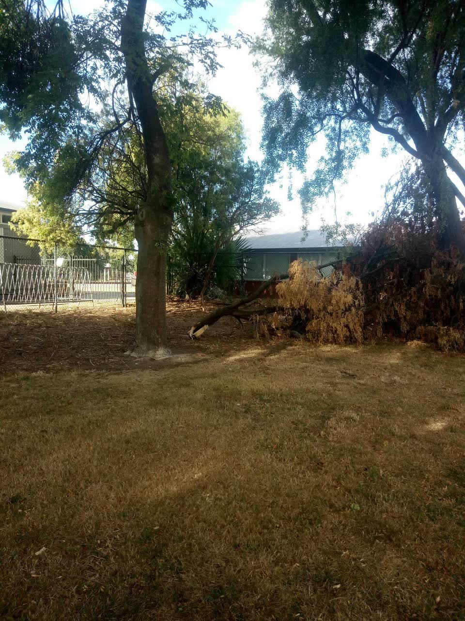 The photograph attached to this parks report