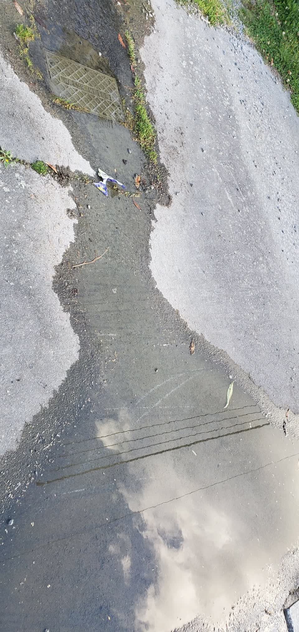 The photograph attached to this water leak report