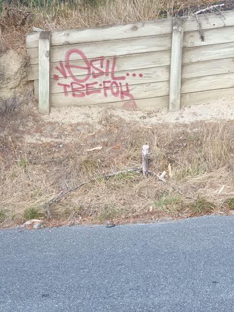 Graffiti — a report photo