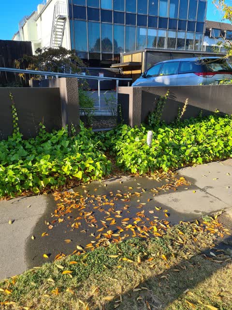 Water Leak, a report photo