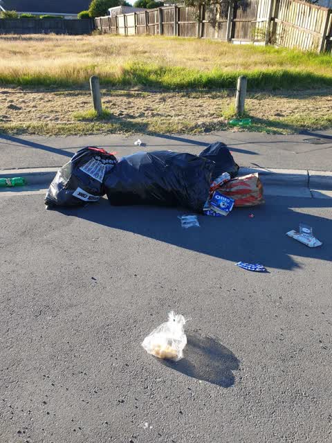 Parks, a report photo