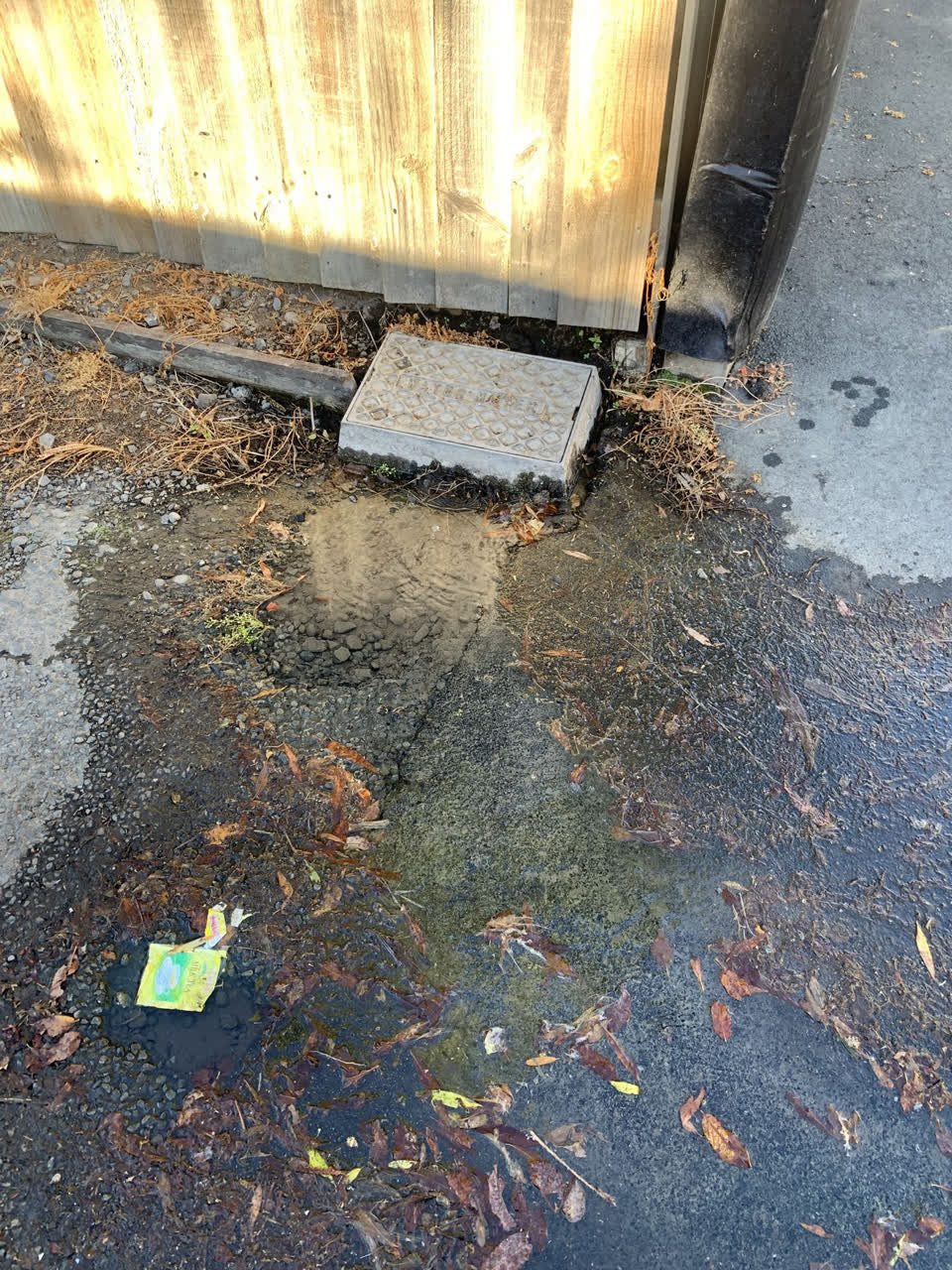 The photograph attached to this water leak report