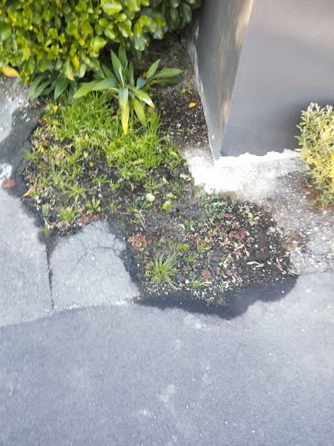 Water Leak, a report photo