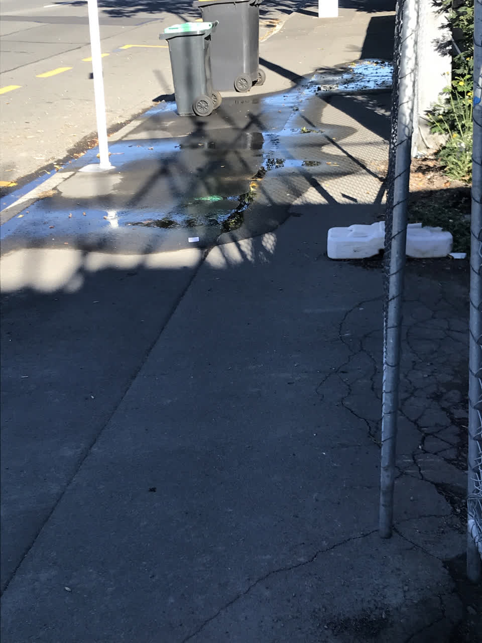 The photograph attached to this water leak report