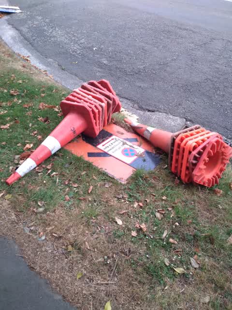 Rubbish/Recycling, a report photo