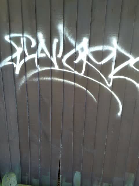 Graffiti, a report photo