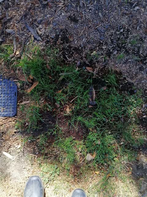 Water Leak, a report photo