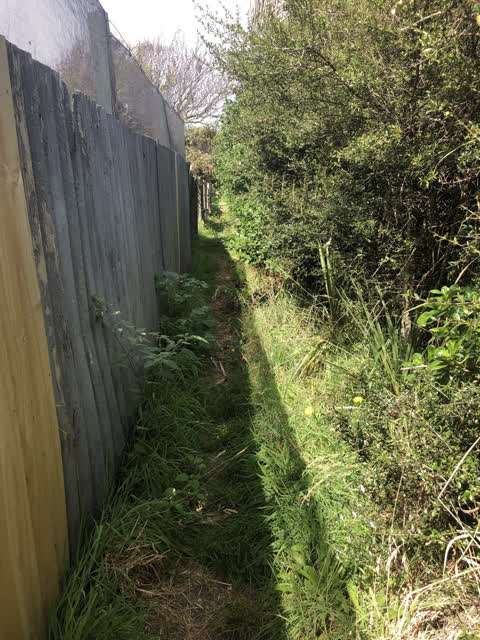 Parks, a report photo