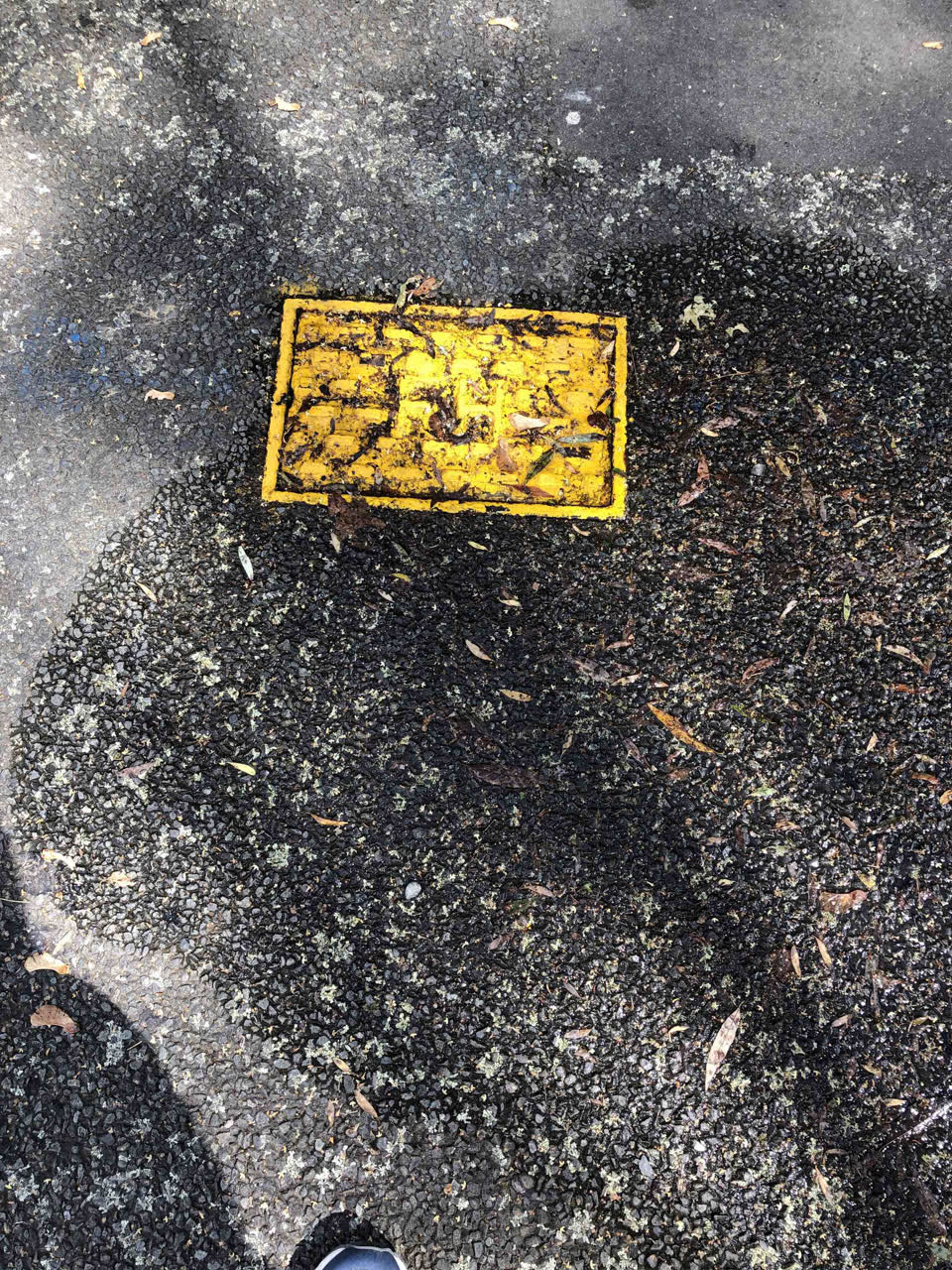 The photograph attached to this water leak report