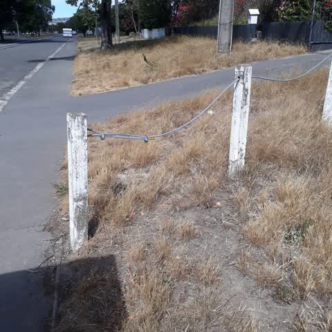 Roading/Streets, a report photo