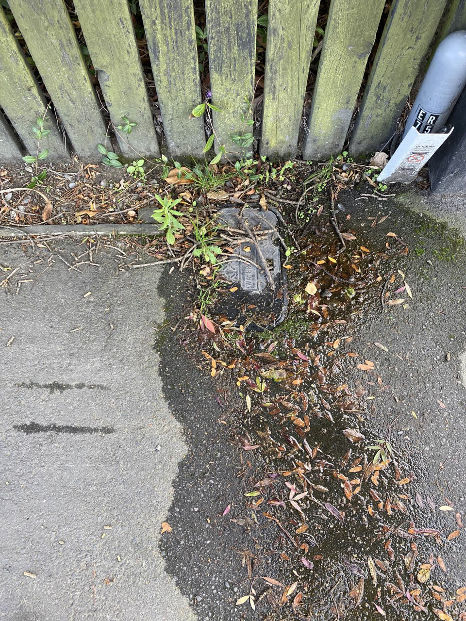 The photograph attached to this water leak report