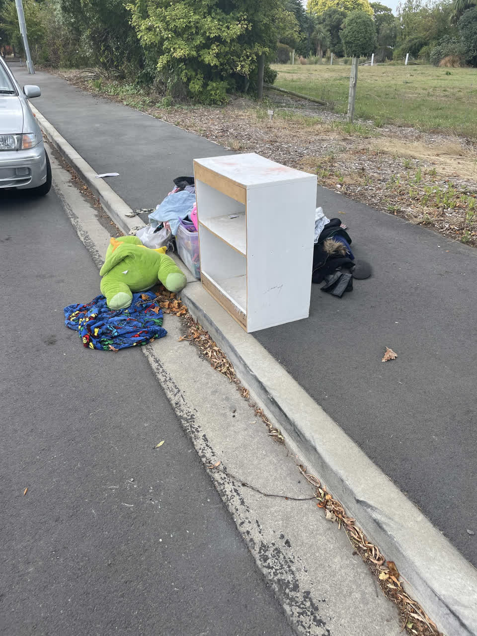 The photograph attached to this rubbish/recycling report