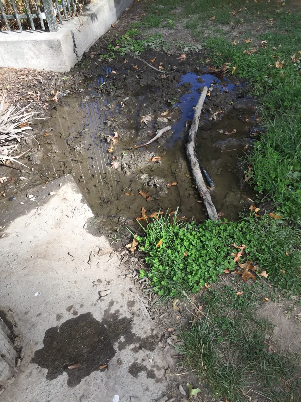 The photograph attached to this parks report