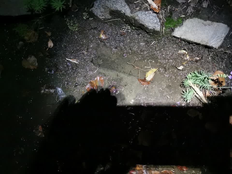 The photograph attached to this water supply report