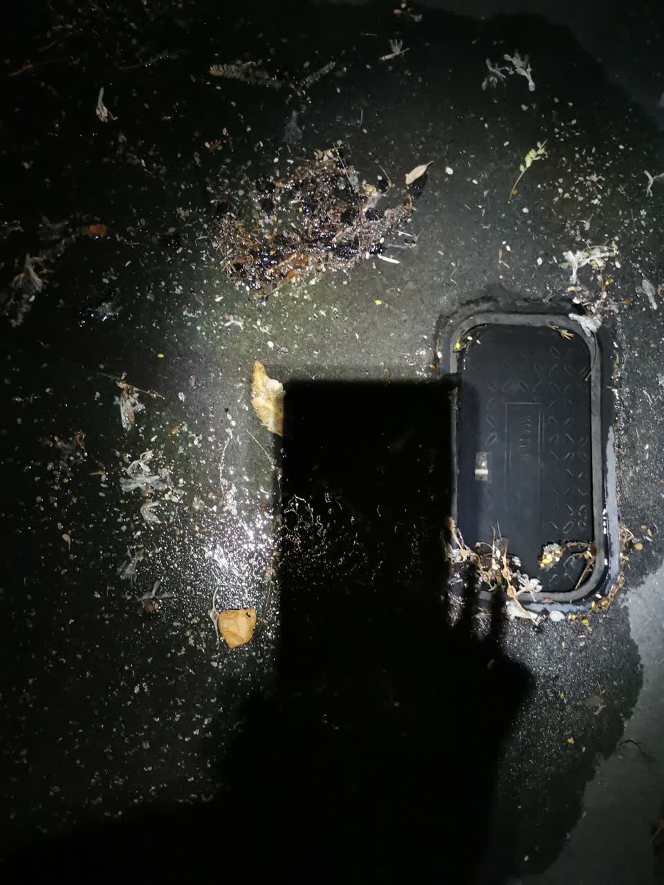 The photograph attached to this water supply report