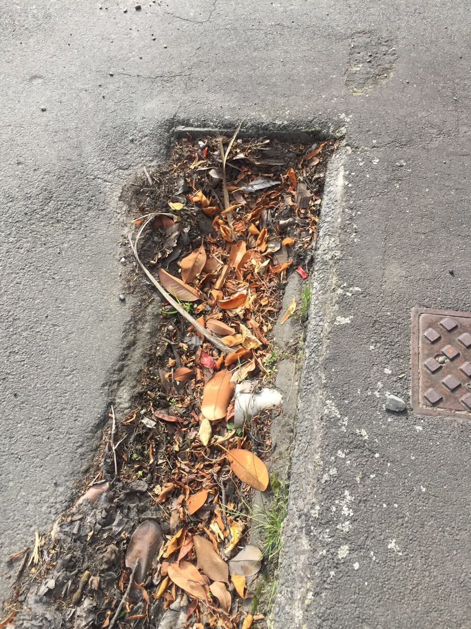The photograph attached to this sewer - leak / blockage report