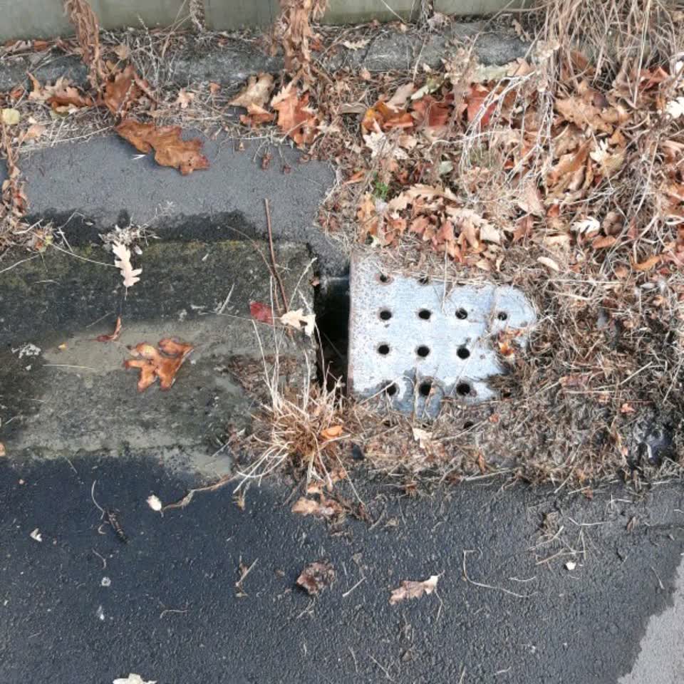 The photograph attached to this water leak report