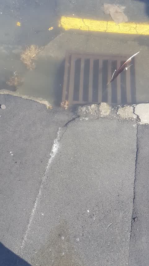 Flooding, a report photo