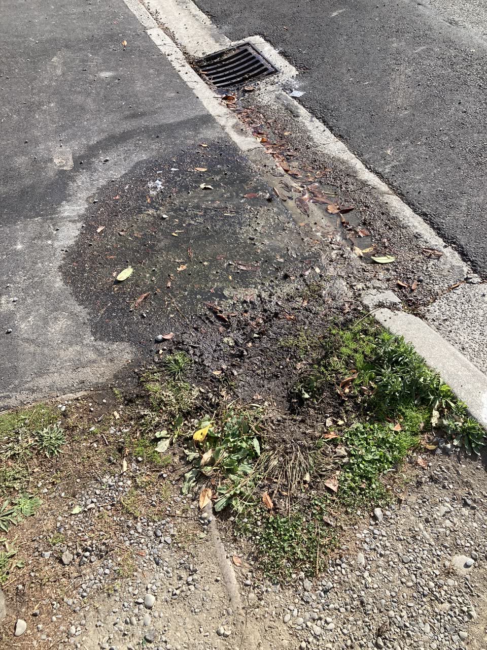 The photograph attached to this water leak report