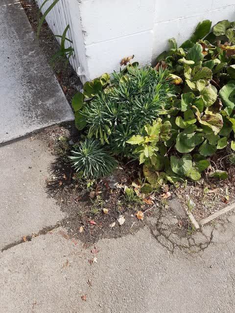 Water Leak, a report photo