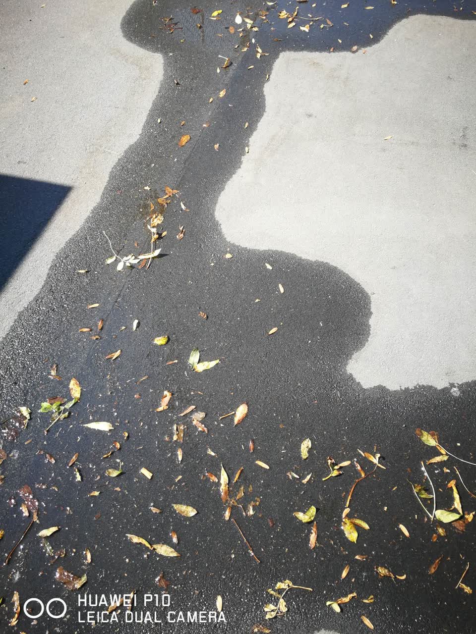 The photograph attached to this water leak report