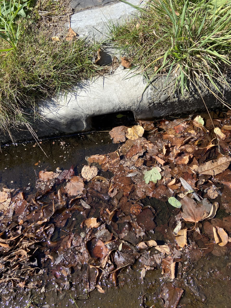 The photograph attached to this wastewater/stormwater report