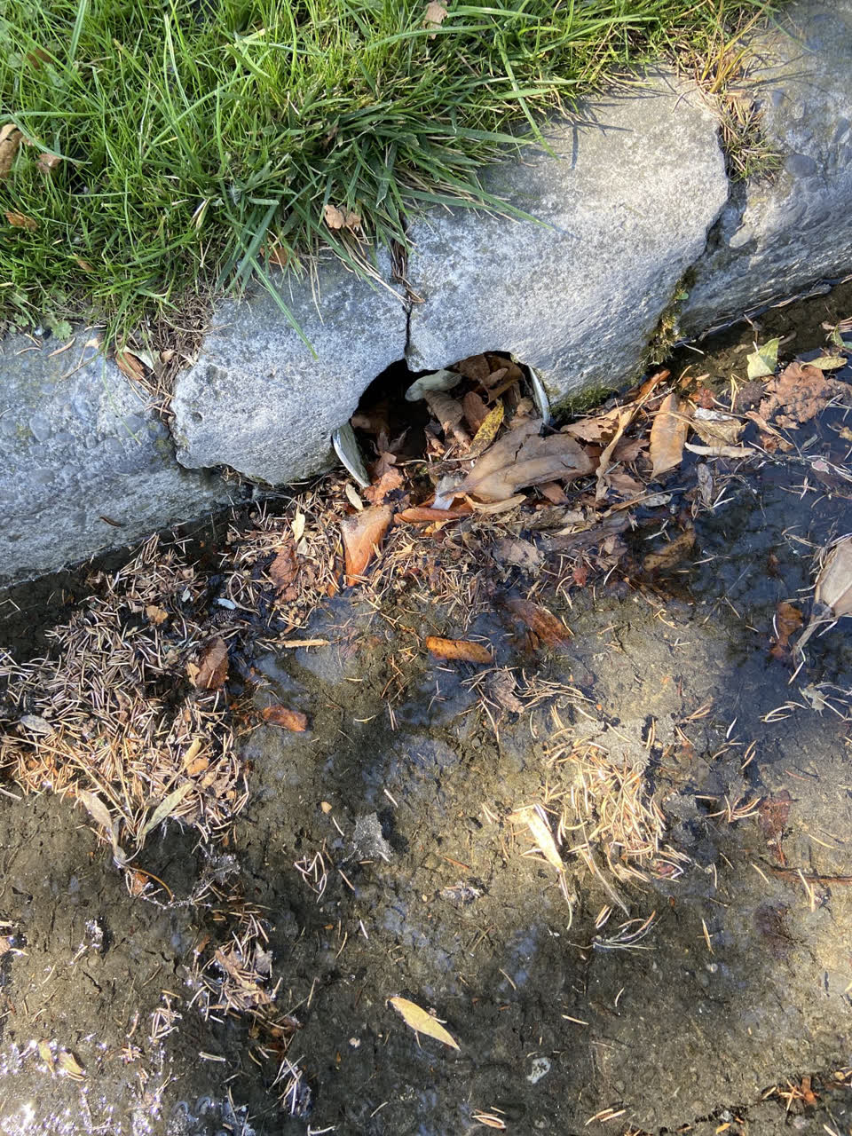 The photograph attached to this wastewater/stormwater report