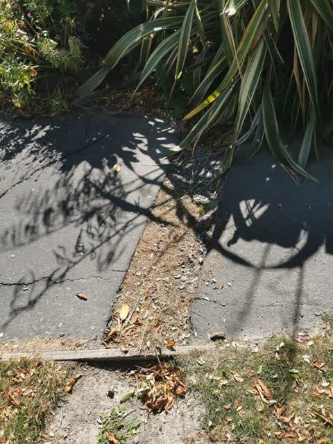 Roading/Streets, a report photo