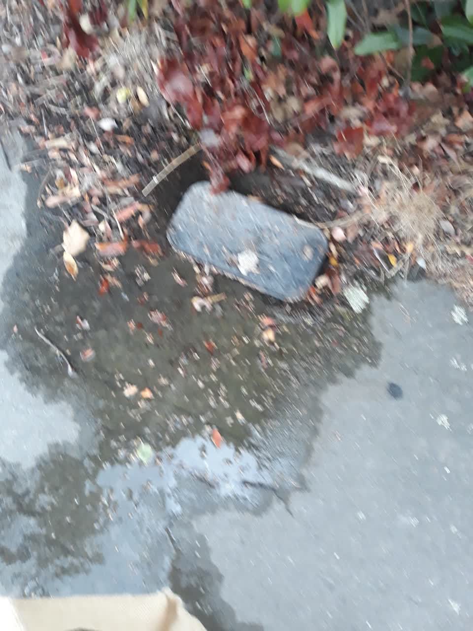 The photograph attached to this water leak report
