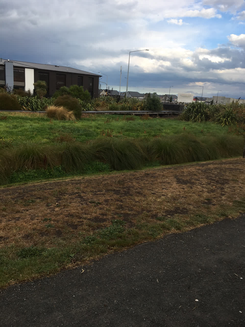 The photograph attached to this parks report