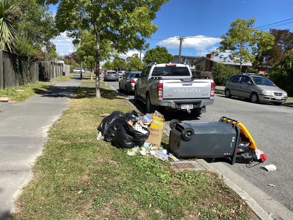 The photograph attached to this rubbish/recycling report