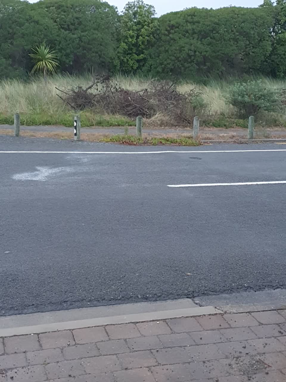 The photograph attached to this parks report
