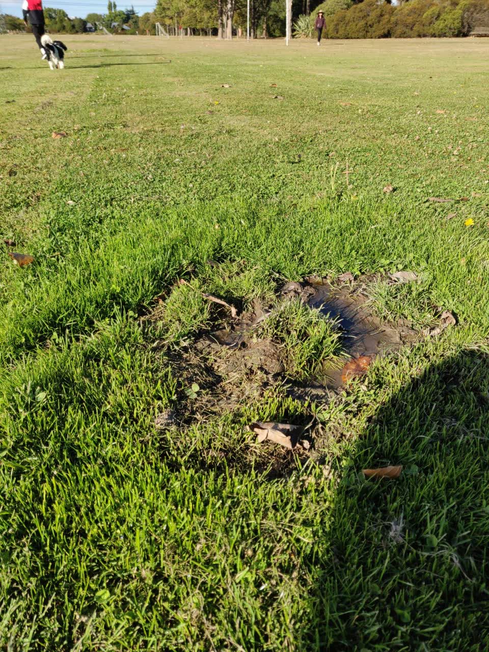 The photograph attached to this parks report