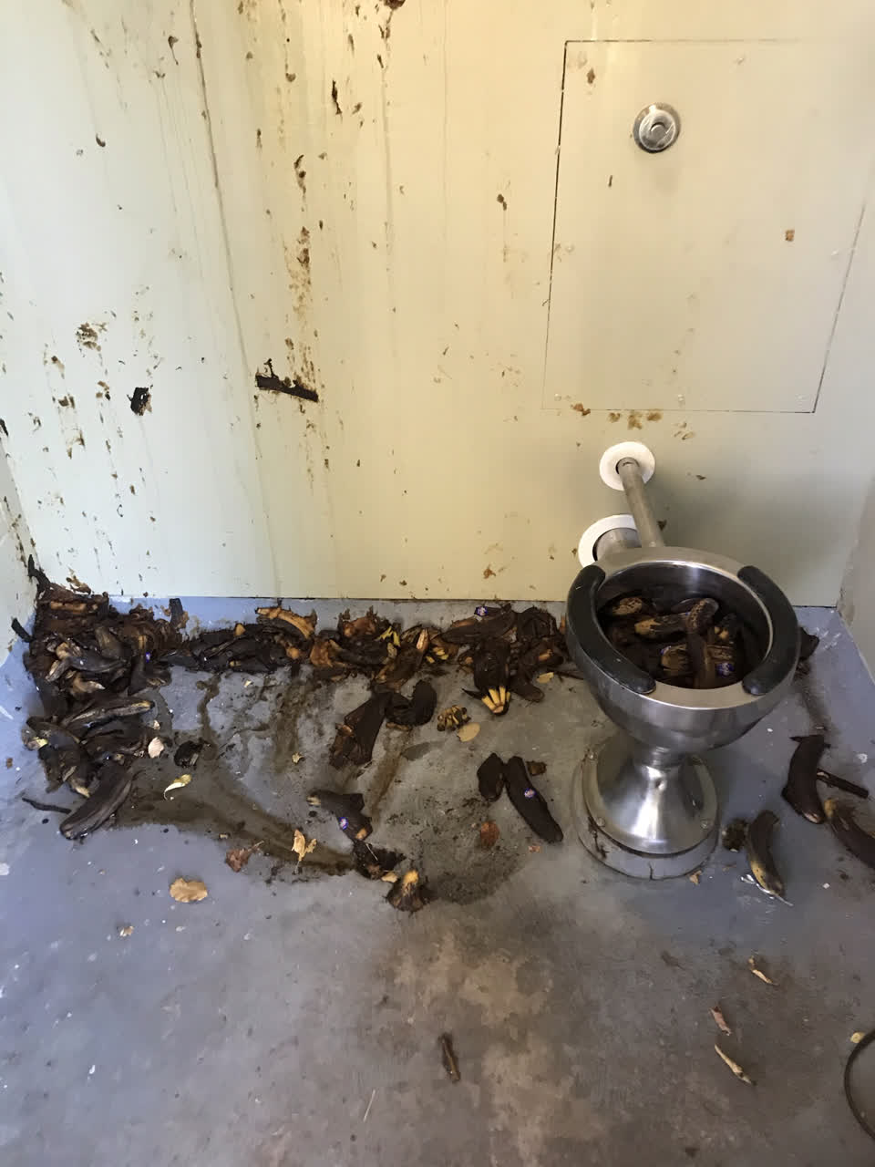 The photograph attached to this parks report