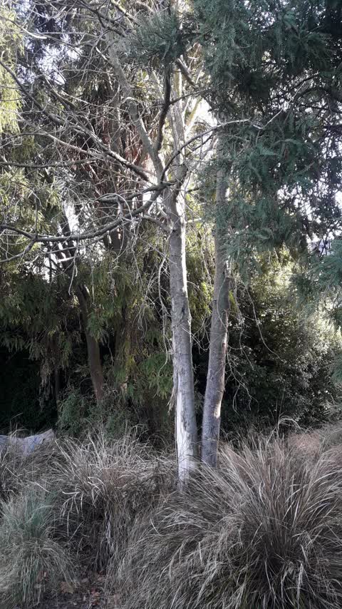 Parks, a report photo