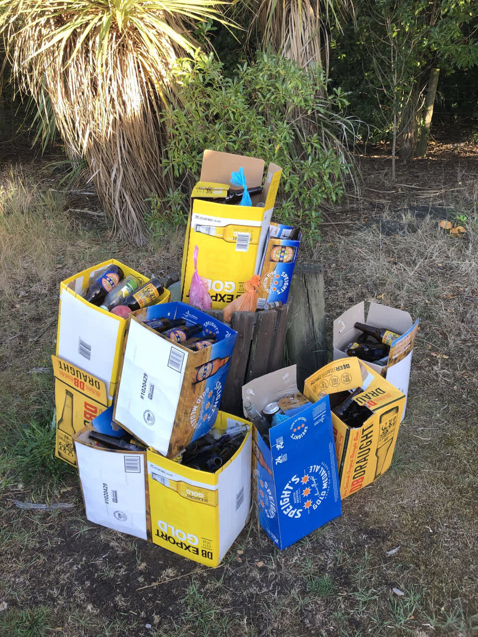 The photograph attached to this rubbish/recycling report