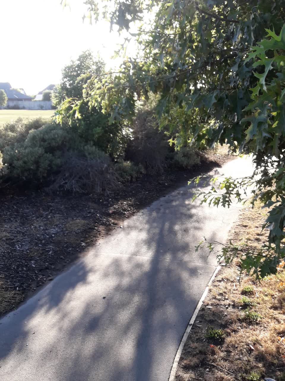 The photograph attached to this parks report