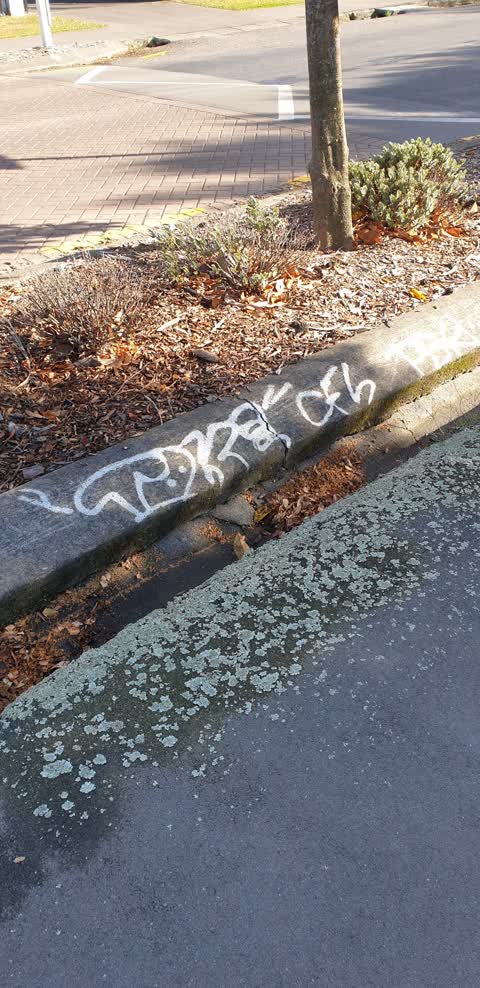 Graffiti, a report photo
