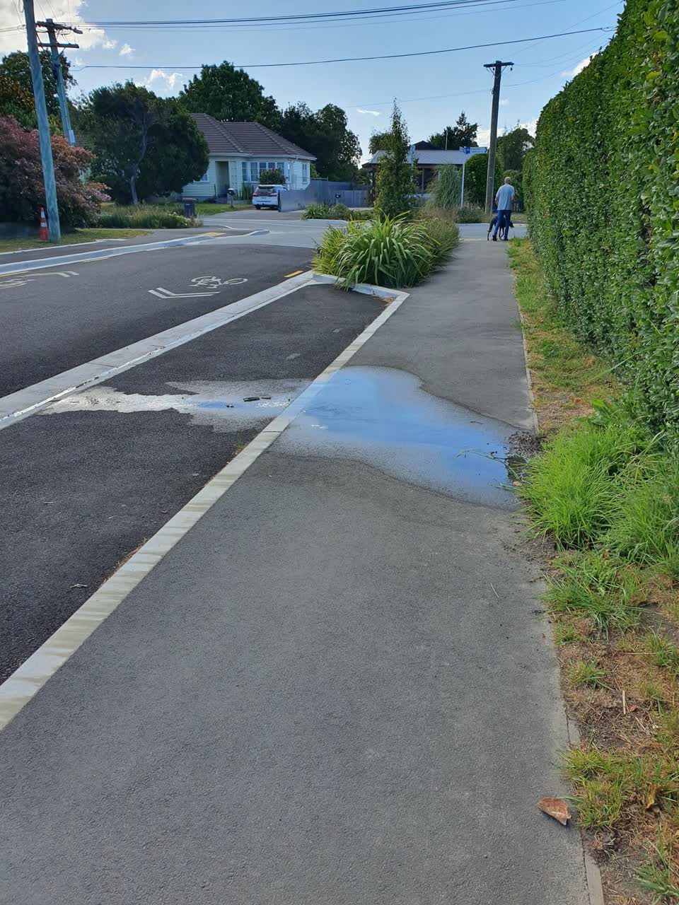 The photograph attached to this water leak report