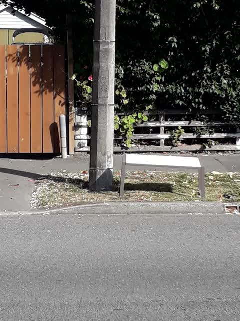Rubbish/Recycling, a report photo