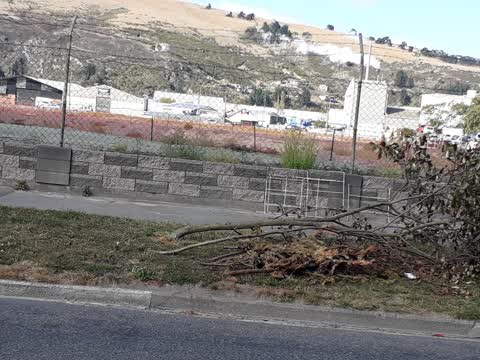 Rubbish/Recycling, a report photo