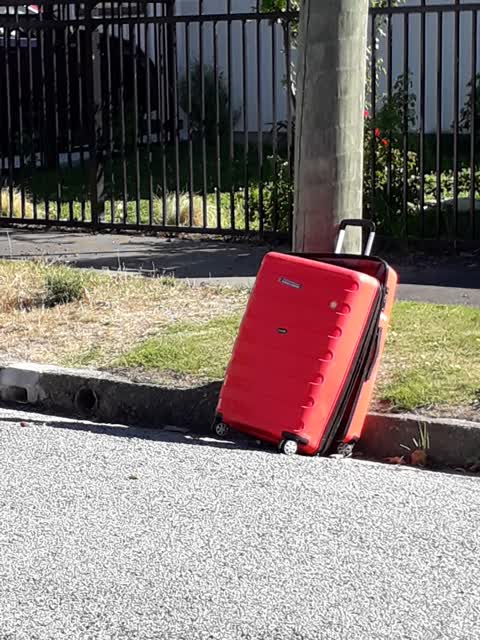 Rubbish/Recycling, a report photo