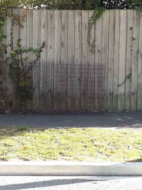 Rubbish/Recycling, a report photo