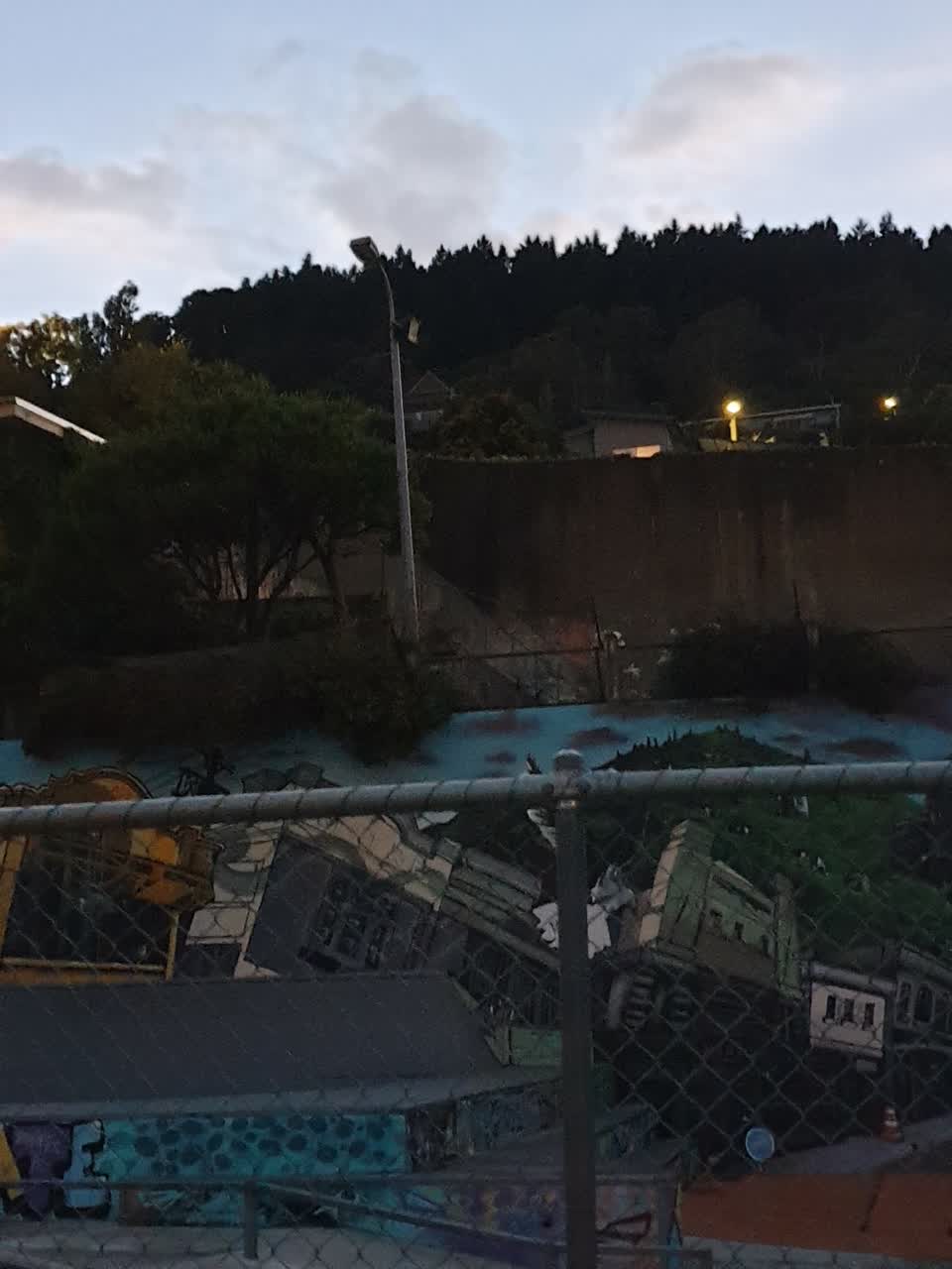 The photograph attached to this street light outage report