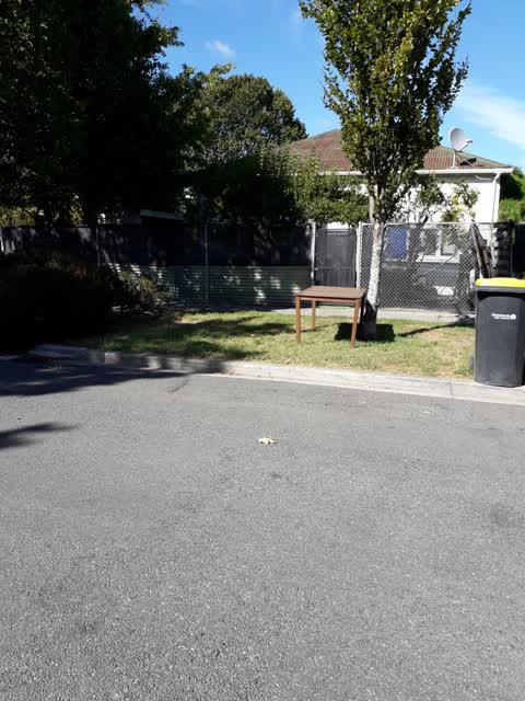 Rubbish/Recycling — a report photo