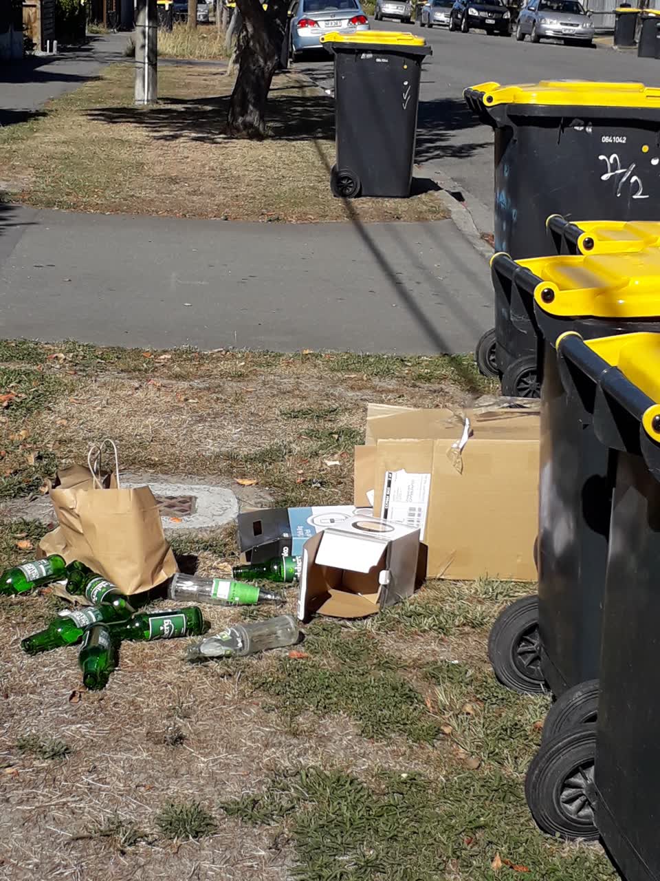 The photograph attached to this rubbish/recycling report