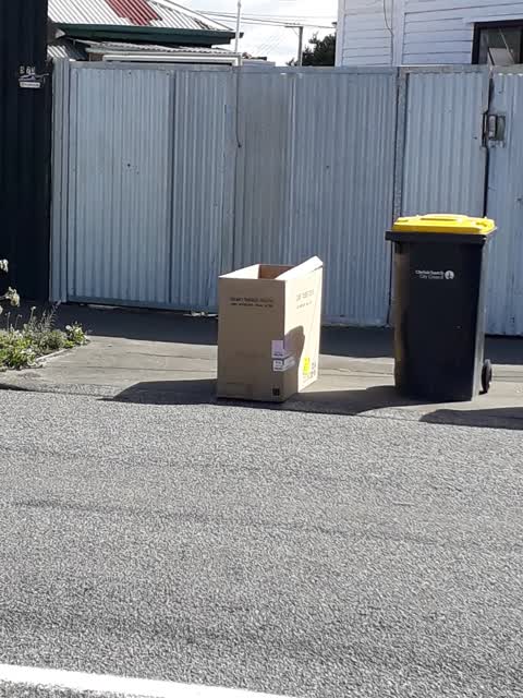 Rubbish/Recycling — a report photo