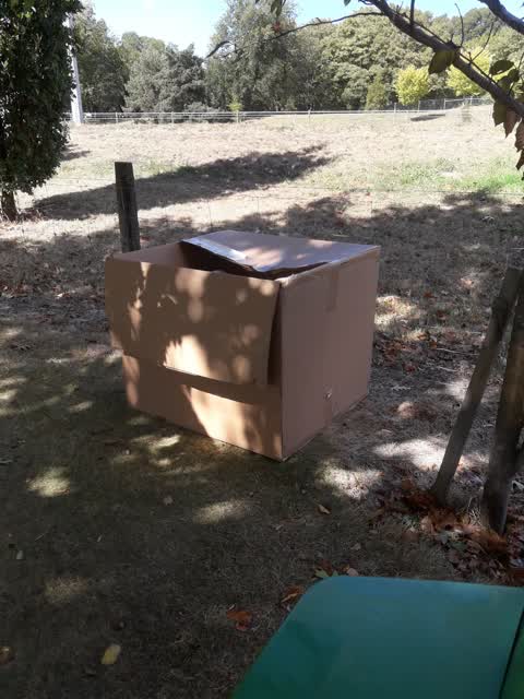 Parks, a report photo