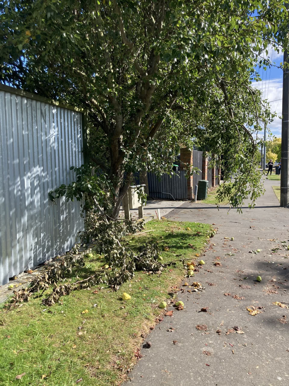 The photograph attached to this roading/streets report